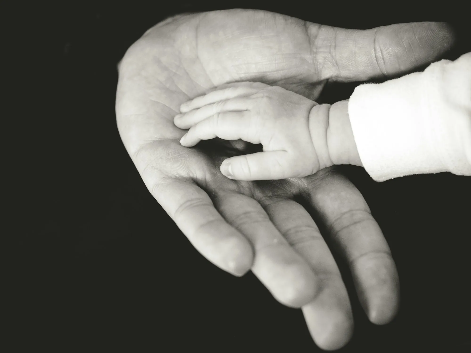 Baby's hand resting in an adult's palm